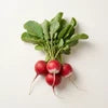 Radish