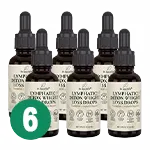 6 bottles