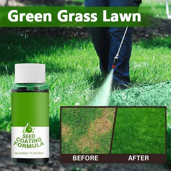 🏆50K+ SOLD LAST WEEK! 🌱🔥Last Day 73% OFF🌱Hydro Seeding Lawn Solution