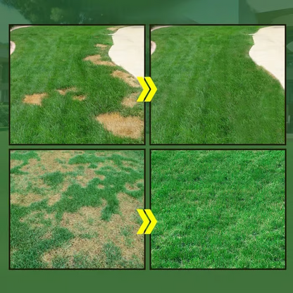 🏆50K+ SOLD LAST WEEK! 🌱🔥Last Day 73% OFF🌱Hydro Seeding Lawn Solution