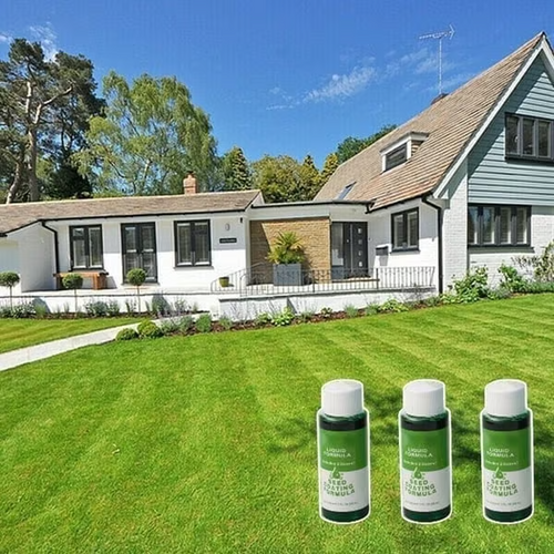 🏆50K+ SOLD LAST WEEK! 🌱🔥Last Day 73% OFF🌱Hydro Seeding Lawn Solution
