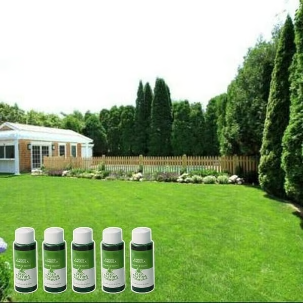 🏆50K+ SOLD LAST WEEK! 🌱🔥Last Day 73% OFF🌱Hydro Seeding Lawn Solution