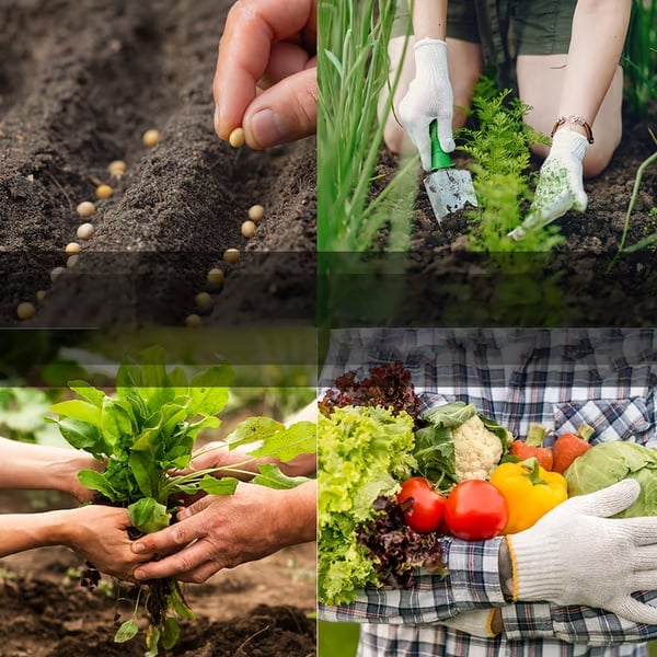 🏆50K+ SOLD LAST WEEK!  - 🥦Ultimate Survival Seed Vault  |🌿50-Year Shelf Life✨（us）