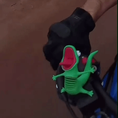 The Lizard RIDEBUDDY — animated product demonstration