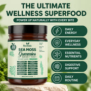 Sea Moss 16-In-1 Gummies — image 2