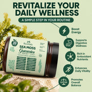 Sea Moss 16-In-1 Gummies — image 4