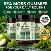 Sea Moss 16-In-1 Gummies — image 10