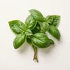 Basil