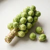 Brussels Sprouts