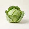 Cabbage