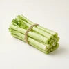Celery
