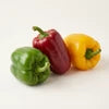 Bell Pepper