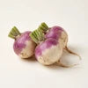 Turnip