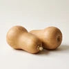 Winter Squash