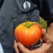 Heirloom seed vault kit — product image 8